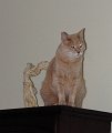 IMG_2262