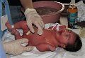 hailey100217_0010