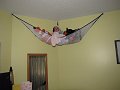 IMG_1087