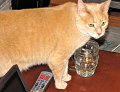 IMG_1610