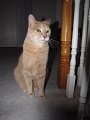IMG_3217