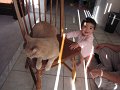 IMG_3838