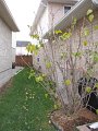 IMG_4425