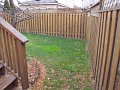 IMG_4430
