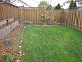 IMG_4431
