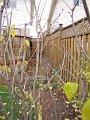 IMG_4432