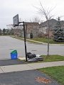 IMG_4446