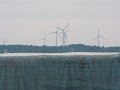 IMG_2556