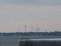 IMG_2557