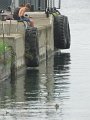 IMG_2576