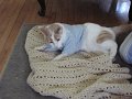 IMG_2595