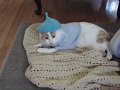 IMG_2596