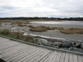 IMG_3960