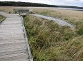 IMG_3965