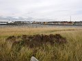 IMG_3966