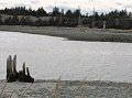 IMG_3969