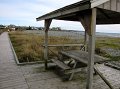 IMG_3971