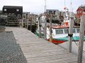 IMG_3978