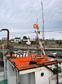 IMG_3981