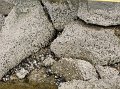 IMG_3984