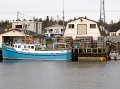 IMG_4005