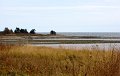 IMG_4036
