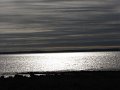 IMG_4042