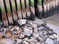 IMG_4194