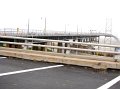IMG_4239