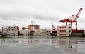 IMG_4277