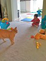 IMG_0655