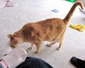 IMG_7051