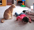 IMG_7058