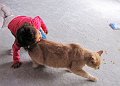 IMG_7065