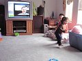 IMG_7177