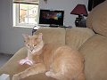 IMG_7179