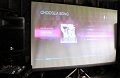 IMG_6629