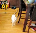 IMG_6633