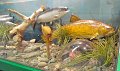 IMG_6765
