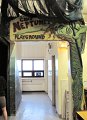 IMG_6781