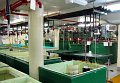 IMG_6790