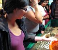 IMG_6795