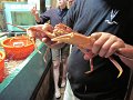 IMG_6801