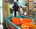 IMG_6807