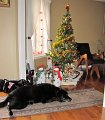 IMG_8010