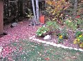 IMG_7208