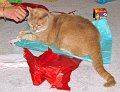 IMG_0027