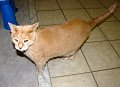 IMG_8618