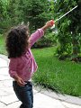IMG_0877