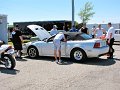 IMG_0186